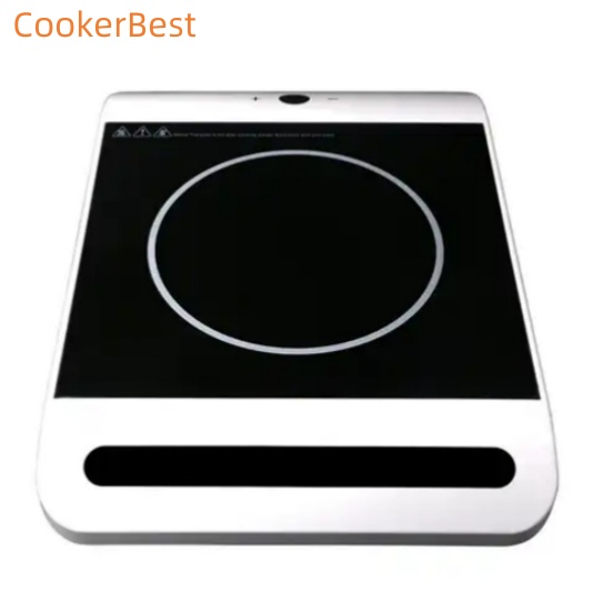 Induction Cooker Double Control